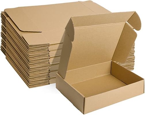문헌 우편물발송자 12x9x3 인치를 싸기 위한 작은 골판지 박스